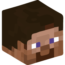 Mineskin icon
