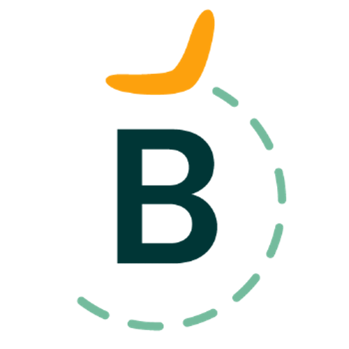 Boomerang icon