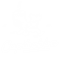 Encuesta CapiBobba icon