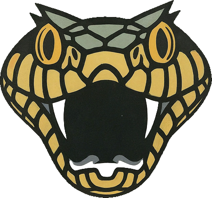 Mapepire icon